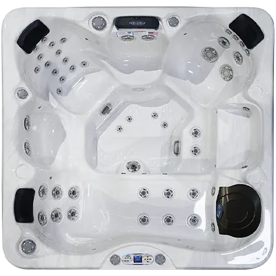 Avalon EC-849L hot tubs for sale in Minneapolis