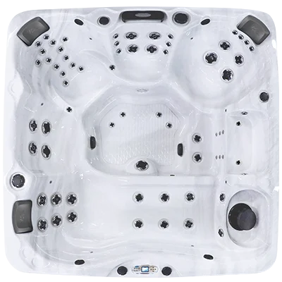 Avalon EC-867L hot tubs for sale in Minneapolis